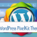 Create WordPress Theme With PixelKit UI Themes