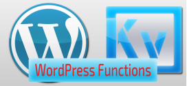 WordPress Plugin Error Call to undefined function wp_get_current_user