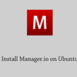 Install Manager.io on Ubuntu